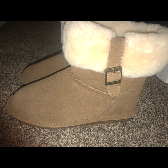 Bearpaws - Picture 4 of 4